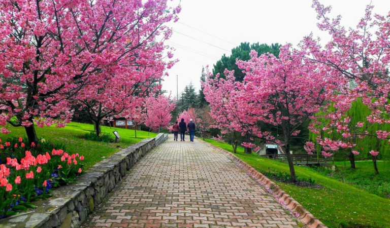 Istanbul Ataşehir Botanical Park - Nezahat Gökyiğit