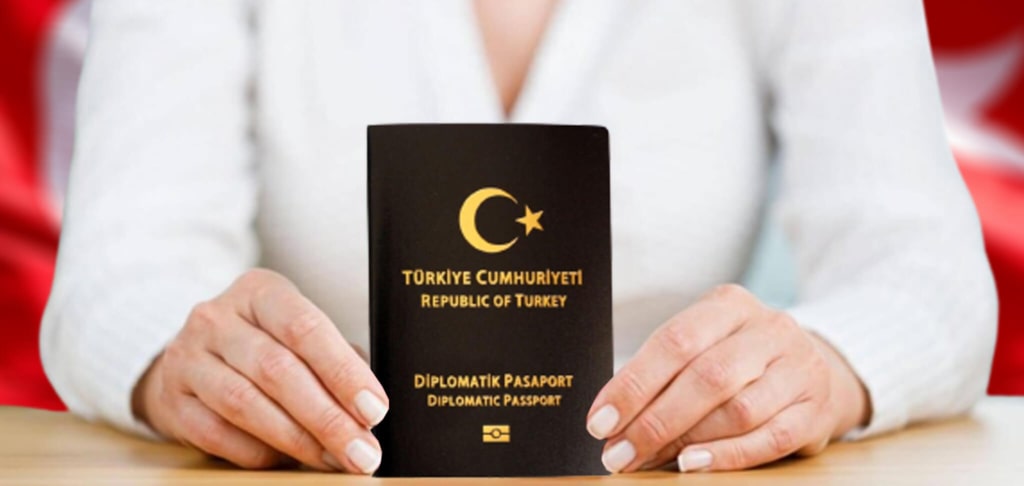 پاسپورت دیپلماتی ترکیه- انواع پاسپورت ترکیه
