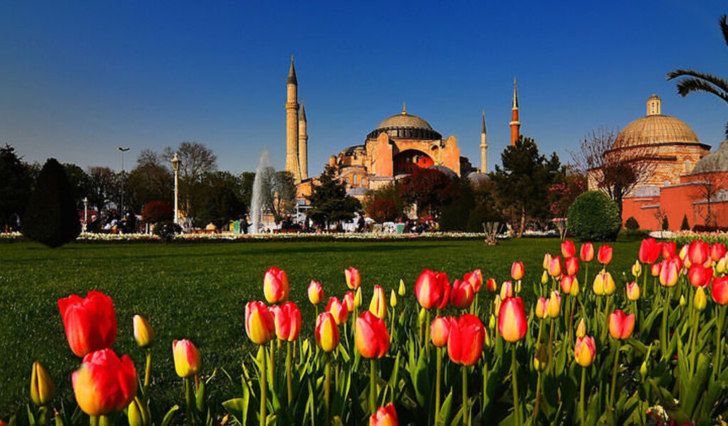 ترکیه گل لاله را به جهان هدیه داده است