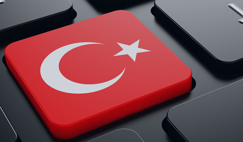 تأثیر زبان رسمی ترکیه بر روی کار و تحصیل - ترکی استانبولی
