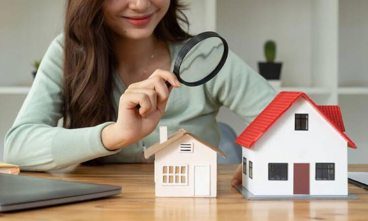 اکسپرتیز ملک در ترکیه چیه؟