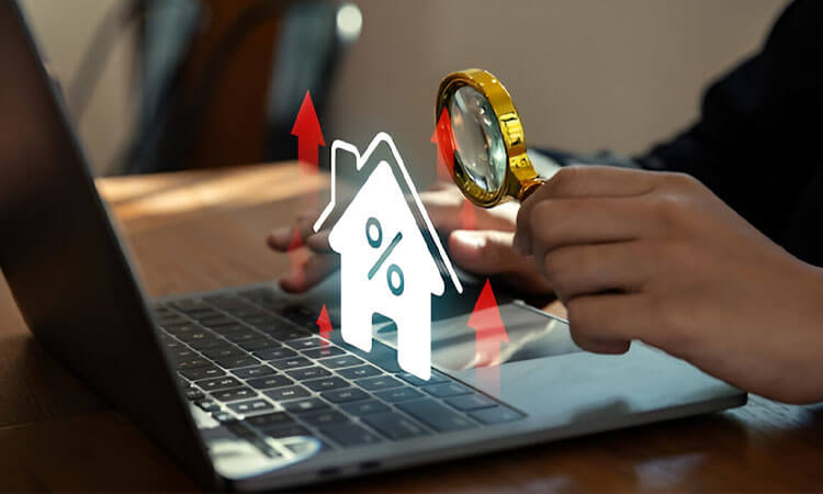 کارشناسی ملک در ترکیه